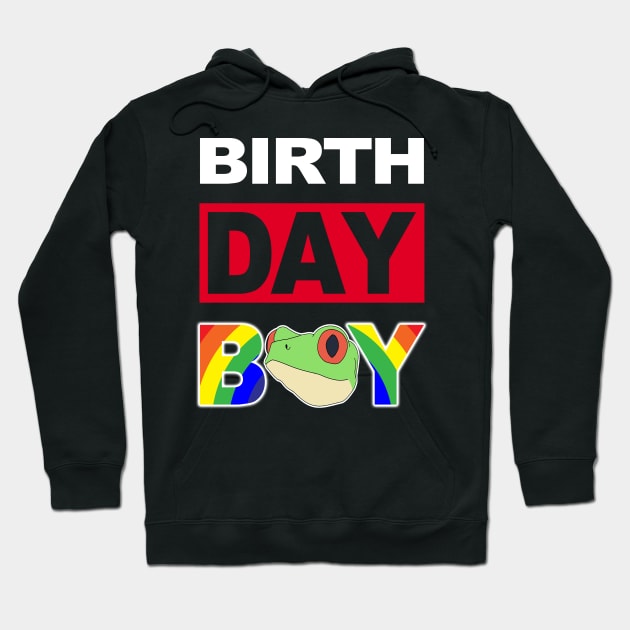 Birth Day Boy Hoodie by cerylela34